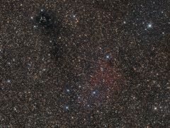 LDN 810,SH2 92,Reflection nebula GN 19.43.3.01, YSO CB205YC1 (Vulpecula Cygnus)