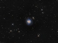 NGC 3344 (Leo Minor)